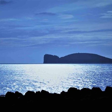 Alghero Sun & Sea - Spiaggia A 50 Metri 외부 사진