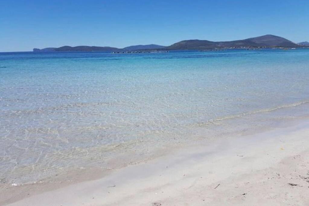 Alghero Sun & Sea - Spiaggia A 50 Metri 외부 사진