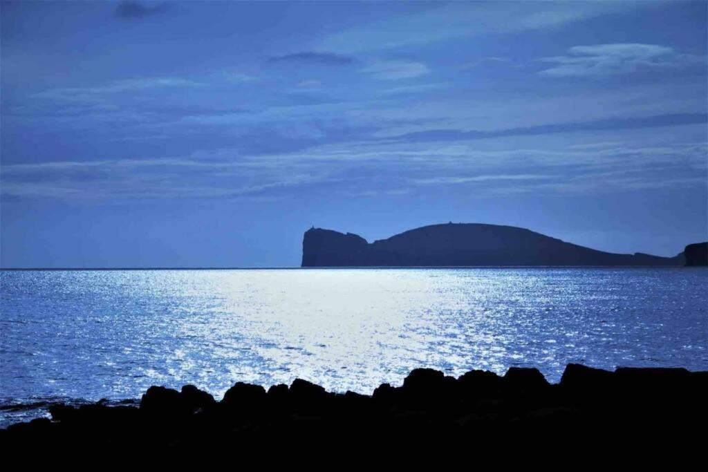 Alghero Sun & Sea - Spiaggia A 50 Metri 외부 사진