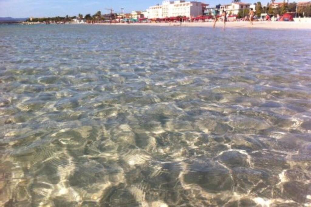 Alghero Sun & Sea - Spiaggia A 50 Metri 외부 사진